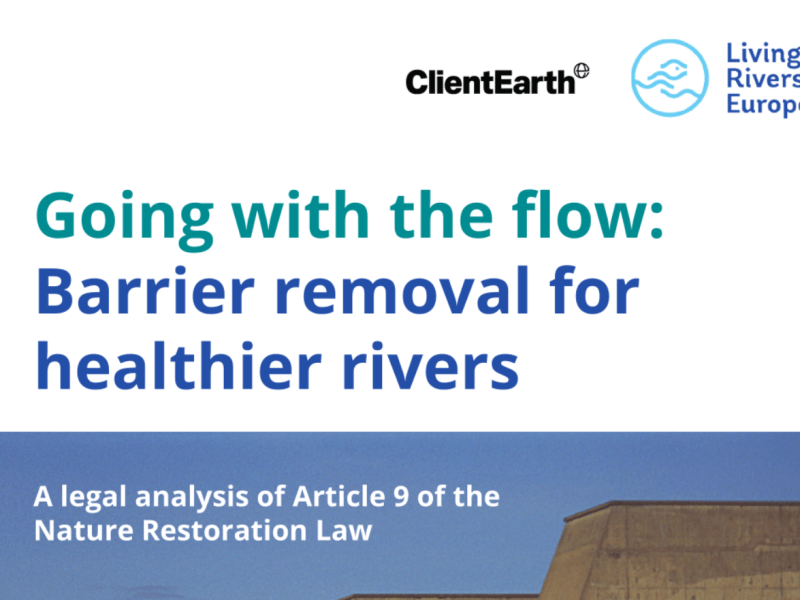 Going with the flow: Barrier removal for healthier rivers – Legal briefing on EU&nbsp;NRL