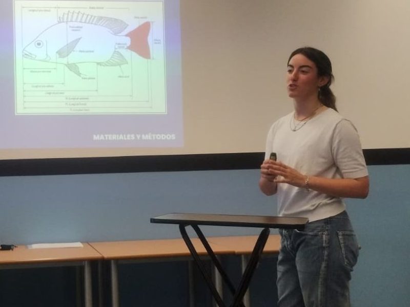 Can fish shape predict swimming and leaping performance? –  Daniela’s bachelor&nbsp;thesis