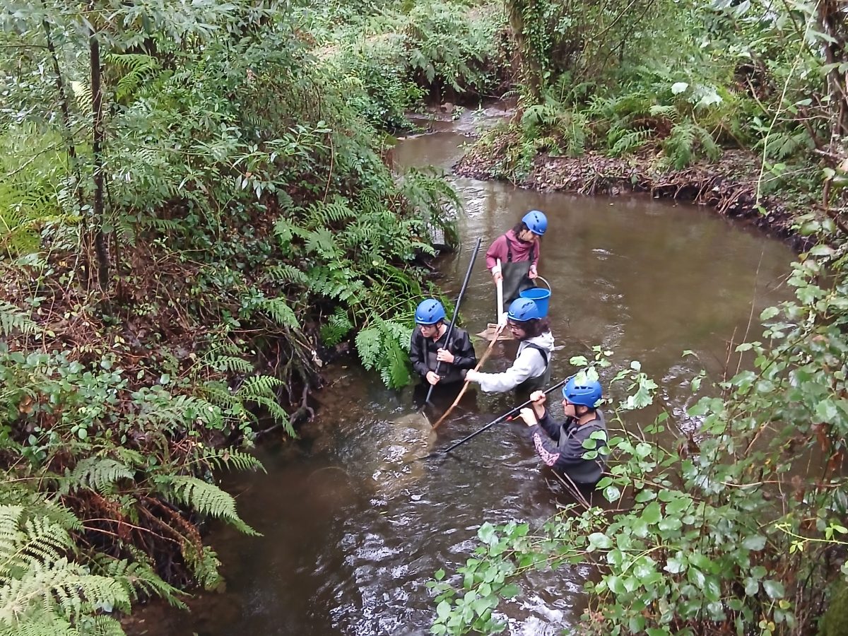 2026 Summer Field Work – Free Flow Lab&nbsp;Internships