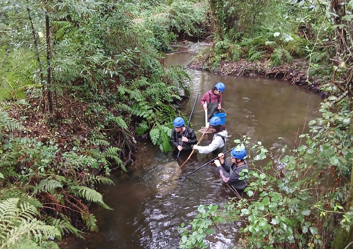 2026 Summer Field Work – Free Flow Lab&nbsp;Internships